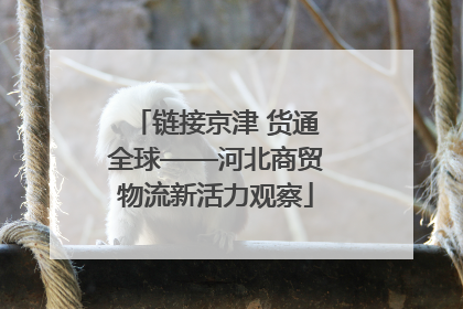 链接京津 货通全球——河北商贸物流新活力观察